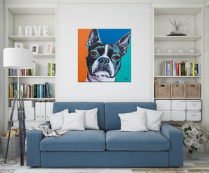 Boston Terrier | Canvas Print
