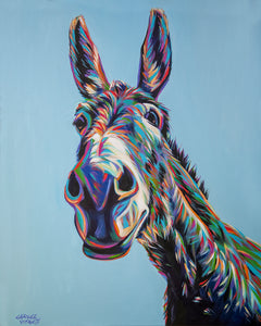 Donkey | Canvas Print