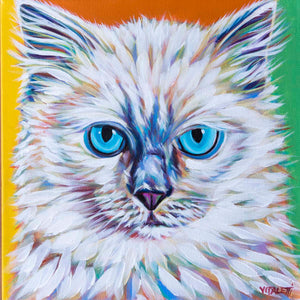 Classy Cat | Canvas Print