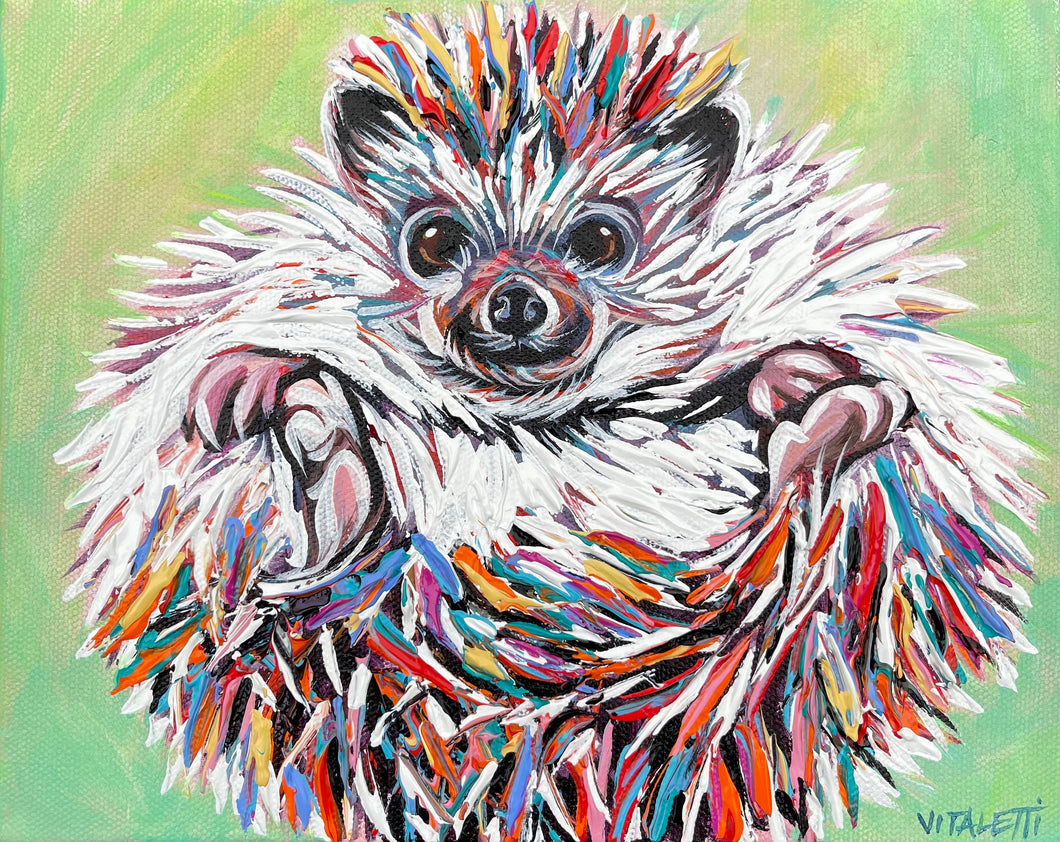 Colorful Hedgehog II | Canvas Print