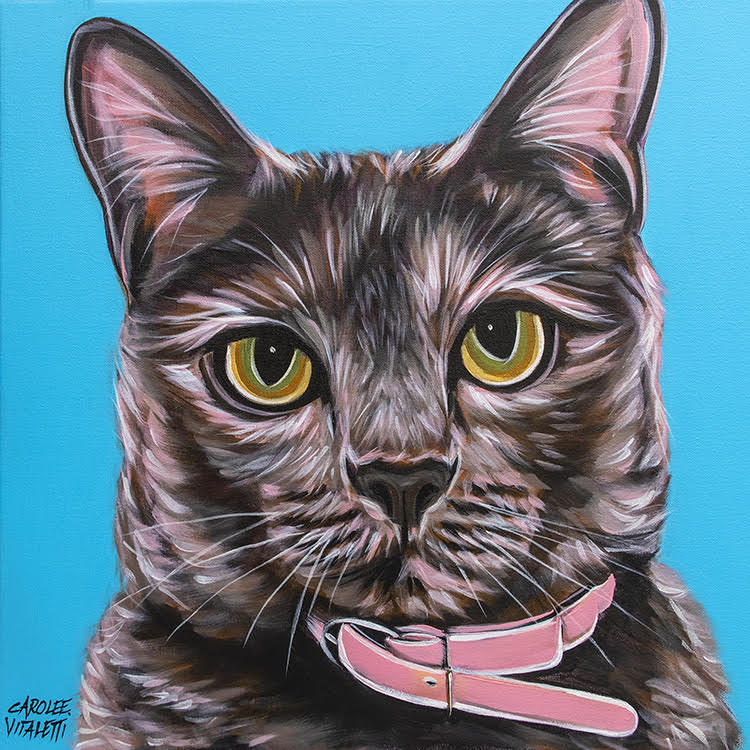 Cuddly Cat | Canvas Print