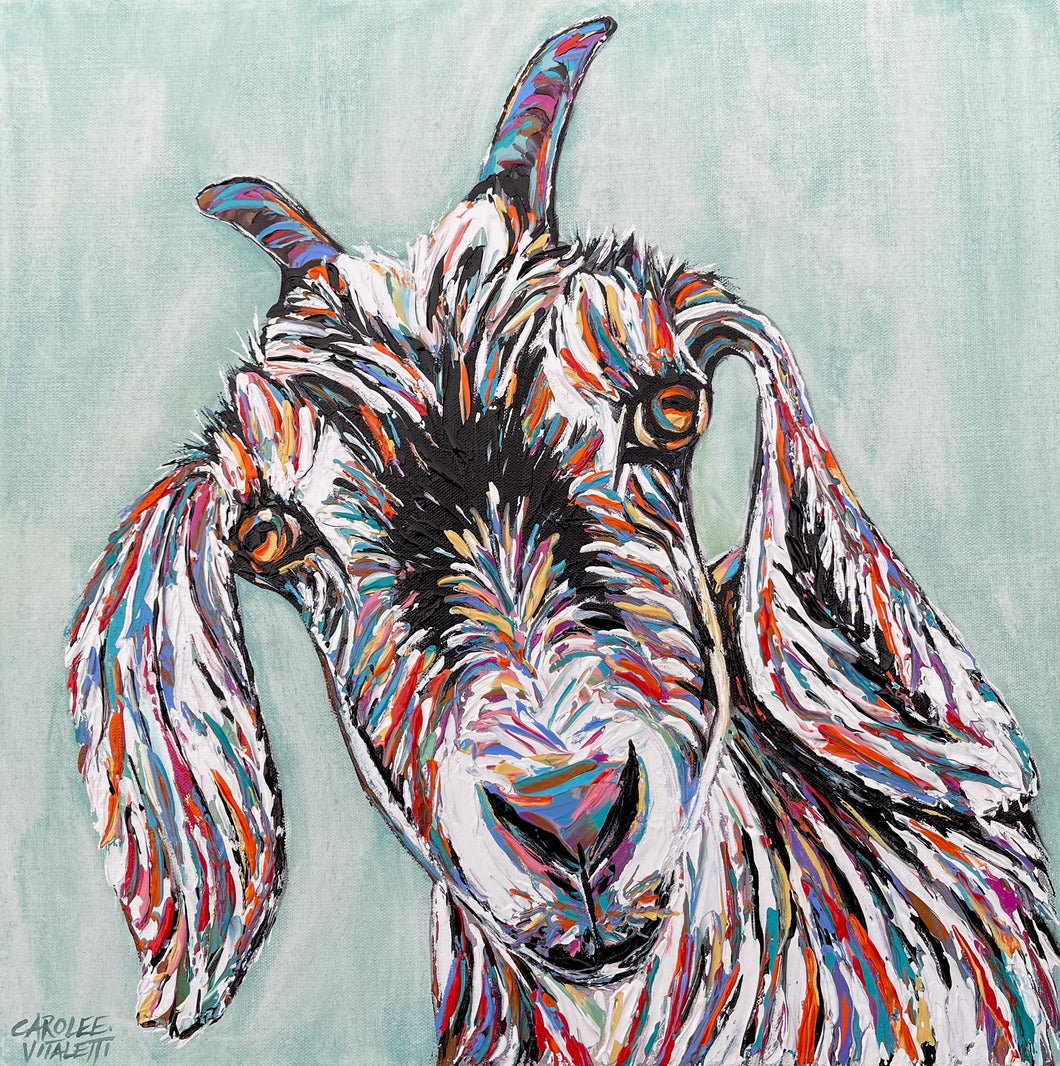 Funny Goat II | Canvas Print