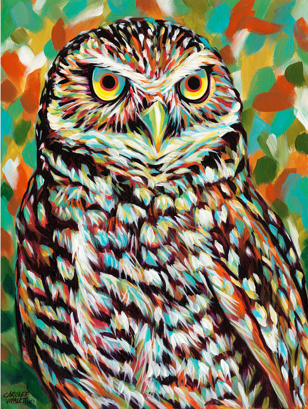 Painted Owl | Canvas Print
