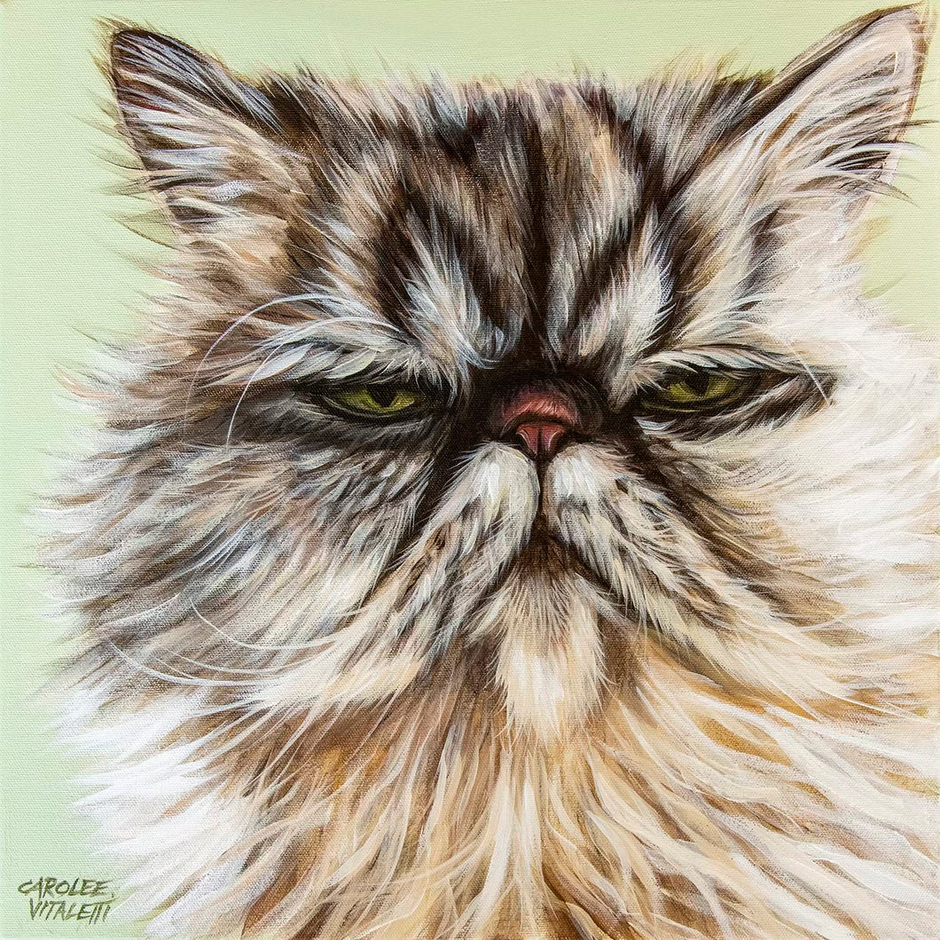 Grumpy Cat | Canvas Print