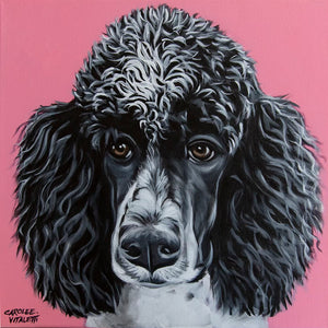 Fancy Poodle | Canvas Print