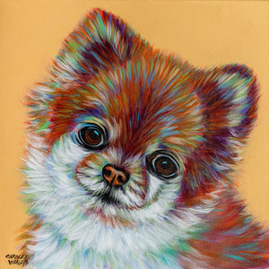 Pomeranian | Canvas Print