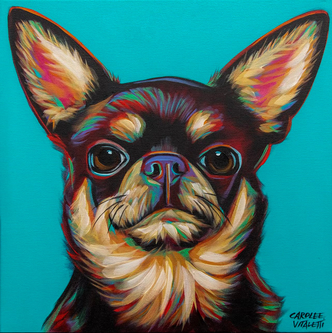 Chihuahua | Canvas Print