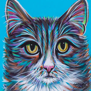 Inquisitive Cat | Canvas Print