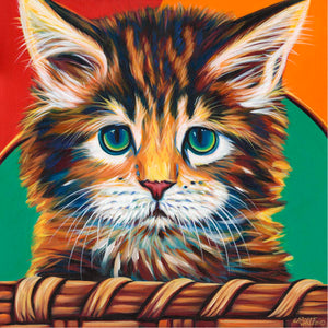 Kitten in Basket I | Canvas Print