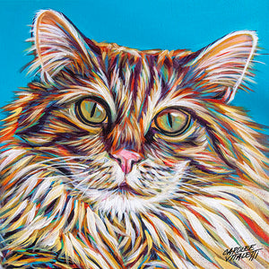 Sweet Cat | Canvas Print