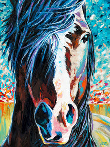 Wild Horse | Canvas Print